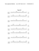 BASB027 PROTEINS AND GENES FROM MORAXELLA CATARRHALIS, ANTIGENS, ANTIBODIES, AND USES diagram and image