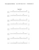 BASB027 PROTEINS AND GENES FROM MORAXELLA CATARRHALIS, ANTIGENS, ANTIBODIES, AND USES diagram and image