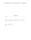 BASB027 PROTEINS AND GENES FROM MORAXELLA CATARRHALIS, ANTIGENS, ANTIBODIES, AND USES diagram and image