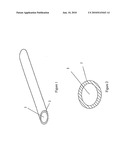 Biological artificial ligament and method of making diagram and image