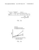 DEVELOPMENT OF ASTHMA THERAPY WITH rAAV-mediated AMCase shRNA diagram and image