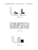 DEVELOPMENT OF ASTHMA THERAPY WITH rAAV-mediated AMCase shRNA diagram and image