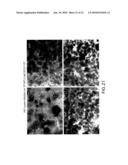 Flavivirus NS5A Proteins For the Treatment of HIV diagram and image