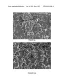 TRICALCIUM PHOSPHATE COARSE PARTICLE COMPOSITIONS AND METHODS FOR MAKING THE SAME diagram and image