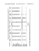 PROCESS AND APPARATUS FOR THE HEAT TREATMENT OF A WOOD PRODUCT AND TREATED WOOD PRODUCT diagram and image