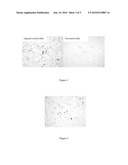 CAPTURE OF MYCOBACTERIA LIKE MICRO-ORGANISMS diagram and image