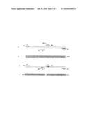 Method for detection of cytosine methylation diagram and image