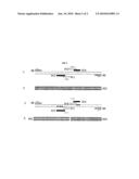 Method for detection of cytosine methylation diagram and image