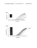 NUCLEIC ACIDS PROBES FOR DETECTION OF YEAST AND FUNGAL SPECIES diagram and image