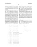 NUCLEIC ACIDS PROBES FOR DETECTION OF YEAST AND FUNGAL SPECIES diagram and image