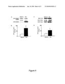 Surfactant Protein D is a Biomarker for Steroid Responsiveness in Asthma and Chronic Obstructive Pulmonary Disease diagram and image