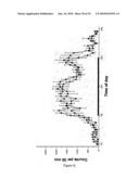 Modified animal lacking functional PYY gene, monoclonal antibodies that bind PYY isoforms and uses therefor diagram and image