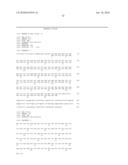 Modified animal lacking functional PYY gene, monoclonal antibodies that bind PYY isoforms and uses therefor diagram and image