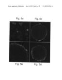 COMPOSITIONS AND METHODS FOR CONCENTRATING AND DEPLETING MICROORGANISMS diagram and image