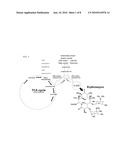 PROCESS OF INCREASING CELLULAR PRODUCTION OF BIOLOGICALLY ACTIVE COMPOUNDS diagram and image