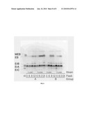 PROCESS OF INCREASING CELLULAR PRODUCTION OF BIOLOGICALLY ACTIVE COMPOUNDS diagram and image