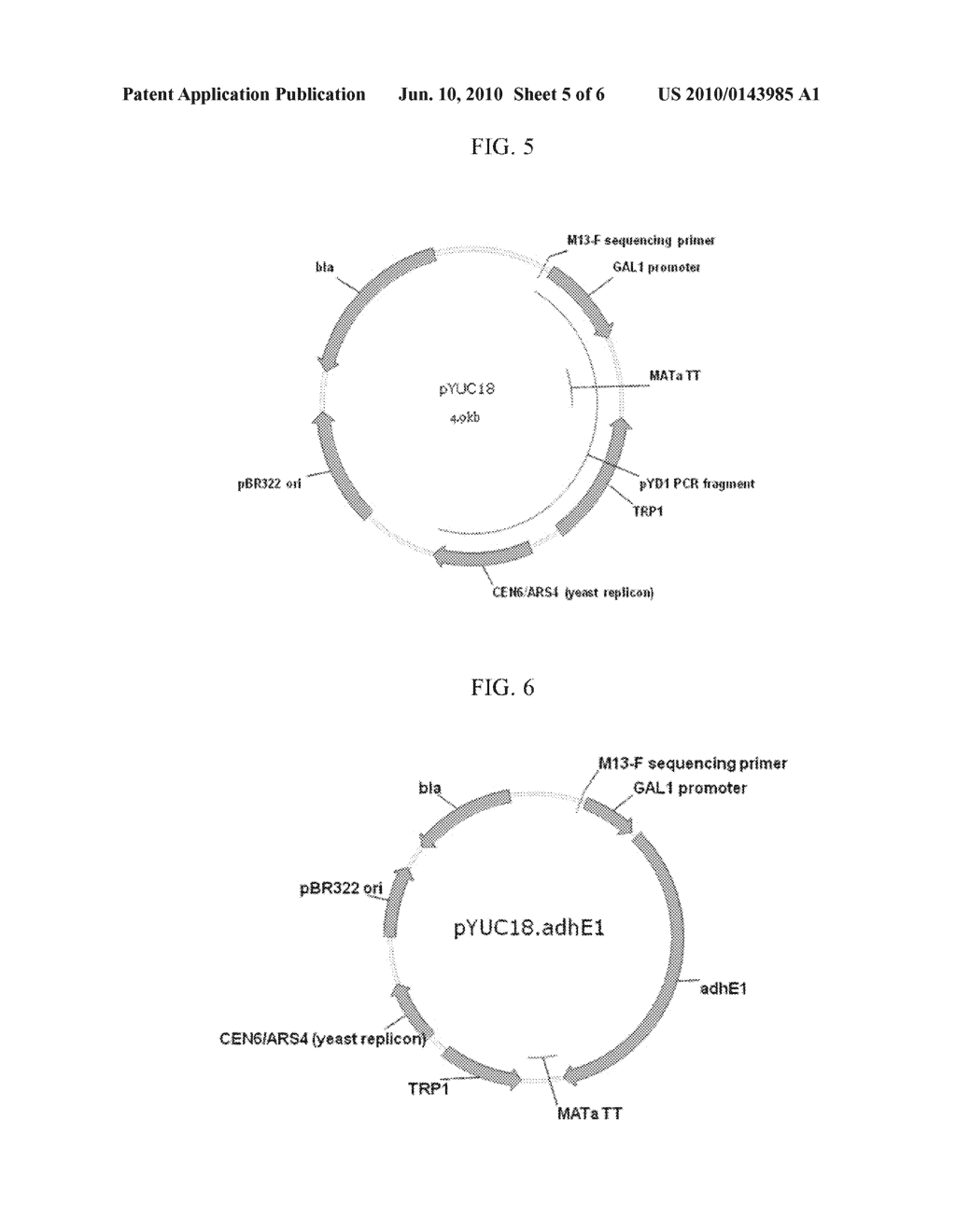 METHOD FOR PREPARING BUTANOL THROUGH BUTYRYL-COA AS AN INTERMEDIATE USING YEAST - diagram, schematic, and image 06