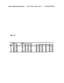 THERMOANAEROBACTER MATHRANII STRAIN BG1 diagram and image