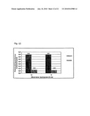 THERMOANAEROBACTER MATHRANII STRAIN BG1 diagram and image