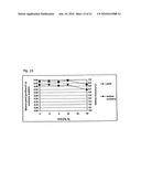 THERMOANAEROBACTER MATHRANII STRAIN BG1 diagram and image