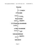 ENGINEERED MICROORGANISMS CAPABLE OF PRODUCING TARGET COMPOUNDS UNDER ANAEROBIC CONDITIONS diagram and image