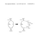 ENGINEERED MICROORGANISMS CAPABLE OF PRODUCING TARGET COMPOUNDS UNDER ANAEROBIC CONDITIONS diagram and image