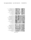 ENGINEERED MICROORGANISMS CAPABLE OF PRODUCING TARGET COMPOUNDS UNDER ANAEROBIC CONDITIONS diagram and image