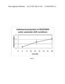 ENGINEERED MICROORGANISMS CAPABLE OF PRODUCING TARGET COMPOUNDS UNDER ANAEROBIC CONDITIONS diagram and image