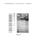 ENGINEERED MICROORGANISMS CAPABLE OF PRODUCING TARGET COMPOUNDS UNDER ANAEROBIC CONDITIONS diagram and image