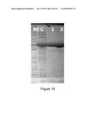 ENGINEERED MICROORGANISMS CAPABLE OF PRODUCING TARGET COMPOUNDS UNDER ANAEROBIC CONDITIONS diagram and image