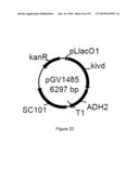 ENGINEERED MICROORGANISMS CAPABLE OF PRODUCING TARGET COMPOUNDS UNDER ANAEROBIC CONDITIONS diagram and image