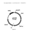 ENGINEERED MICROORGANISMS CAPABLE OF PRODUCING TARGET COMPOUNDS UNDER ANAEROBIC CONDITIONS diagram and image