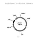 ENGINEERED MICROORGANISMS CAPABLE OF PRODUCING TARGET COMPOUNDS UNDER ANAEROBIC CONDITIONS diagram and image