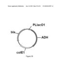 ENGINEERED MICROORGANISMS CAPABLE OF PRODUCING TARGET COMPOUNDS UNDER ANAEROBIC CONDITIONS diagram and image