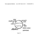 ENGINEERED MICROORGANISMS CAPABLE OF PRODUCING TARGET COMPOUNDS UNDER ANAEROBIC CONDITIONS diagram and image