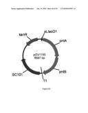 ENGINEERED MICROORGANISMS CAPABLE OF PRODUCING TARGET COMPOUNDS UNDER ANAEROBIC CONDITIONS diagram and image