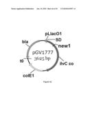 ENGINEERED MICROORGANISMS CAPABLE OF PRODUCING TARGET COMPOUNDS UNDER ANAEROBIC CONDITIONS diagram and image