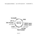 ENGINEERED MICROORGANISMS CAPABLE OF PRODUCING TARGET COMPOUNDS UNDER ANAEROBIC CONDITIONS diagram and image