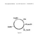 ENGINEERED MICROORGANISMS CAPABLE OF PRODUCING TARGET COMPOUNDS UNDER ANAEROBIC CONDITIONS diagram and image