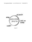 ENGINEERED MICROORGANISMS CAPABLE OF PRODUCING TARGET COMPOUNDS UNDER ANAEROBIC CONDITIONS diagram and image