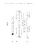 Facilitating Protein Solubility by Use of Peptide Extensions diagram and image