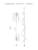 Facilitating Protein Solubility by Use of Peptide Extensions diagram and image