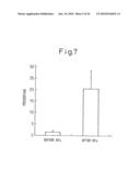 Method of inducing differentiation of bone marrow stromal cells to neural cells or skeletal muscle cells by introduction of Notch gene diagram and image