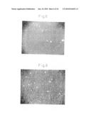 Method of inducing differentiation of bone marrow stromal cells to neural cells or skeletal muscle cells by introduction of Notch gene diagram and image