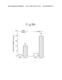 Method of inducing differentiation of bone marrow stromal cells to neural cells or skeletal muscle cells by introduction of Notch gene diagram and image