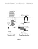 C-Terminal Domain Truncation of mGluR1a By Calpain and Uses Thereof diagram and image