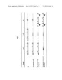 AMINOGLYCOSIDE ANTIBIOTICS TARGETING BACTERIAL 16S RIBOSOMAL RNA diagram and image