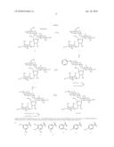 AMINOGLYCOSIDE ANTIBIOTICS TARGETING BACTERIAL 16S RIBOSOMAL RNA diagram and image