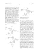 AMINOGLYCOSIDE ANTIBIOTICS TARGETING BACTERIAL 16S RIBOSOMAL RNA diagram and image