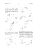 Compositions and Methods for Cancer Treatment diagram and image